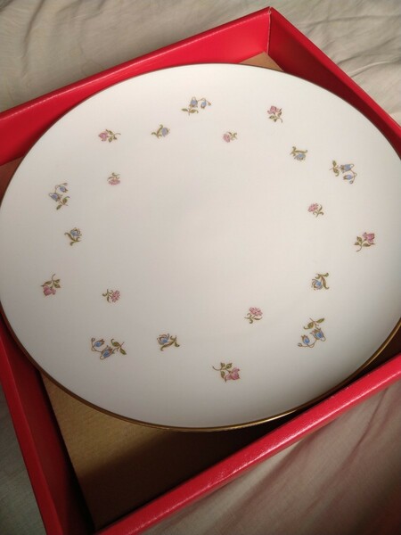 ■未使用新品■日本陶器ノリタケNoritake ivory China 大皿1枚小皿5枚セット　箱付き