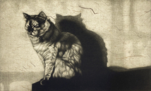生田宏司「Shadow・III」銅版画　メゾチント　額装　猫　ねこ　影_画像1