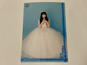入内嶋涼 SKE48 Family Vol.03 A-Type 会員限定 生写真 1枚 ドレスb