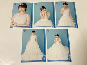 【5種コンプ】北野瑠華 SKE48 Family Vol.03 A-Type 会員限定 生写真 ドレス