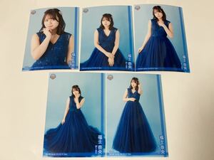 【5種コンプ】福士奈央 SKE48 Family Vol.03 A-Type 会員限定 生写真 ドレス