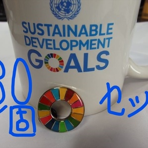  SDGs ピンバッジ 30個（送料無料）（22000円税込）（国連ブックショップ購入）（新品未使用）（小分袋30枚付)(ラバークラスプ付素材)UN82