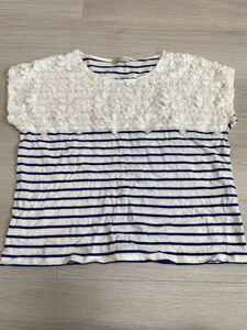 ボーダー 半袖Tシャツ ボーダーカットソー earth music&ecology