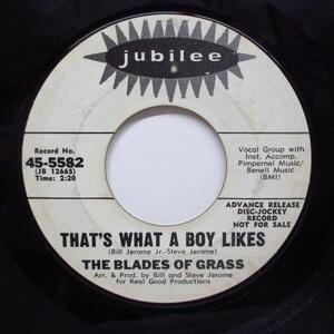 BLADES OF GRASS-That's What A Boy Likes (Promo)