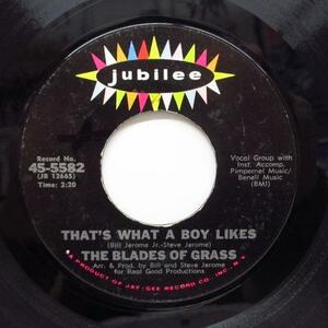 BLADES OF GRASS-That's What A Boy Likes (Orig)