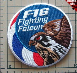 \300アイロンワッペン・エンブレムF-16Fighting Falcon