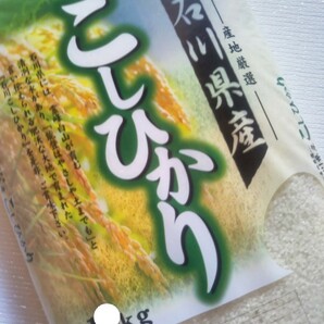 令和５年産　こしひかり　２０kg　（5kg×4袋）