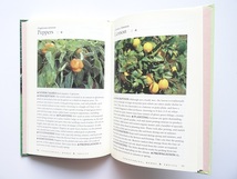 洋書◆植物の写真集 本 花 コスモス チューリップ マーガレット ほか_画像8