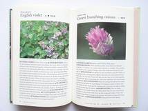 洋書◆植物の写真集 本 花 コスモス チューリップ マーガレット ほか_画像6