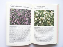 洋書◆植物の写真集 本 花 コスモス チューリップ マーガレット ほか_画像5