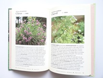 洋書◆植物の写真集 本 花 コスモス チューリップ マーガレット ほか_画像7