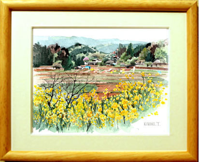 □･第7640号｢菜の花｣埼玉県鳩山町 / 田中 君子画/プレゼント付き!, 絵画, 水彩, 自然, 風景画