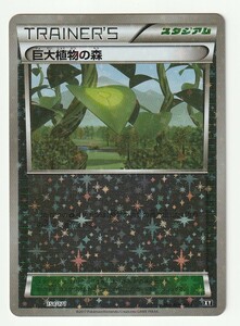 XY「巨大植物の森」(ハイクラスパック THE BEST OF XY 154/171)特殊キラ・殿堂・エクストラ