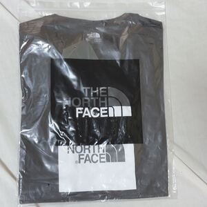 ノースフェイス tシャツ メンズ 半袖 THE NORTH FACE ザ ノースフェイス 黒色
