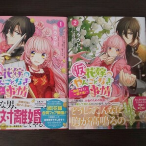 (仮)花嫁のやんごとなき事情 ~離婚できたら一攫千金!~