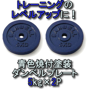 用途に合わせて調節 シンワ ダンベルプレート5kg×2枚 STW-134