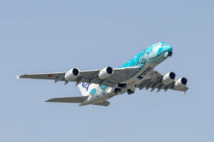 飛行機　デジタル画像 A380 ANA フライングホヌ チャーターフライト 2号機（カイ） 7