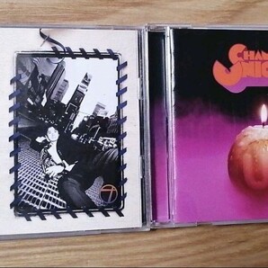 UNICORN 「CHAMBRE」& 奥田民生 「29」 アルバムCDセット