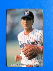 1994年 カルビー プロ野球カード 地方版 No.C-31 ヤクルト 池山隆寛