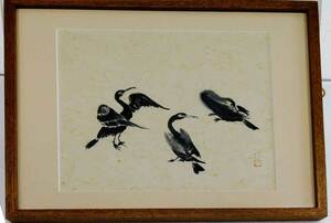 Art hand Auction R0004 結城 巧 鵜群図 日本画 真作保証, 絵画, 日本画, 花鳥, 鳥獣