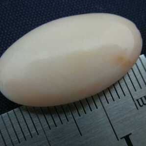 【TOP】珊瑚 サンゴ ルース 3.37g 指輪 リング ペンダントトップ 根付 d42.