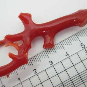 【TOP】血赤珊瑚 サンゴ 7.96g 枝 ルース 根付 g554.