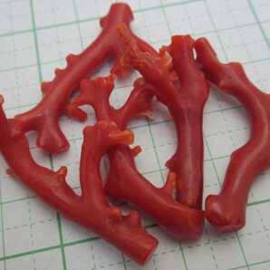 【TOP】血赤珊瑚 サンゴ 12.6g 枝 ルース セット 根付 x711.