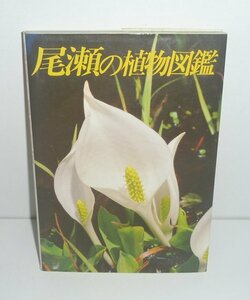 尾瀬1987a『尾瀬の植物図鑑』 新井幸人 写真／里見哲夫 解説