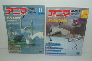 鳥1982-1983『アニマ（No.117）特集：ハクチョウ』＆『アニマ（No.119）特集：タンチョウの舞』