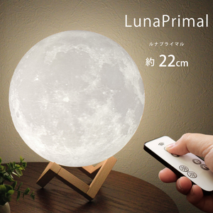 匠の誠品 月ライト 22cm 間接照明 テーブルランプ 照明 インテリア 月のランプ 月 寝室 おしゃれ 照明 USB充電式 調色 調光 色切替