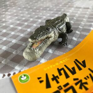 ガチャ シャクレルプラネット