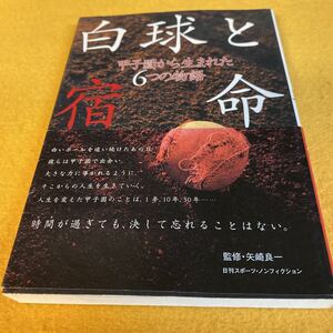 ［単行本］白球と宿命～甲子園から生まれた6つの物語