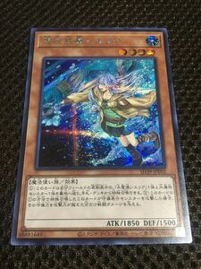 遊戯王 憑依装着－エリア シークレット 絵違い イラスト違い