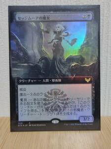 ★☆MTG　【FOIL】【日】セッジムーアの魔女/Sedgemoor Witch[黒R]【STX】[拡張アート]★☆ 全ての商品同梱可能