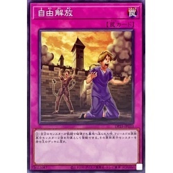 遊戯王　DP25-JP033　自由解放　１枚・ノーマル・未使用