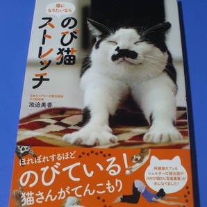 ★のび猫ストレッチ★
