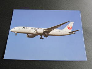 JAL■日本航空■B787-846■JA825J■絵葉書