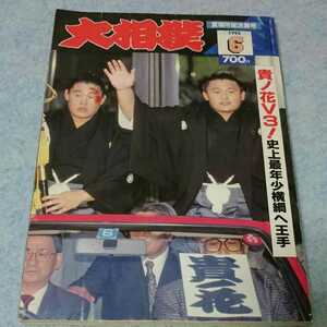 大相撲 1993年6月 夏場所総決算号