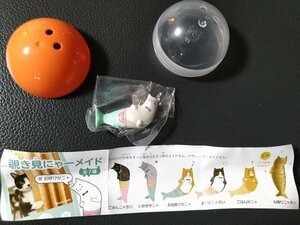 【識別ヘ】 覗き見にゃーメイド お呼びかニャ