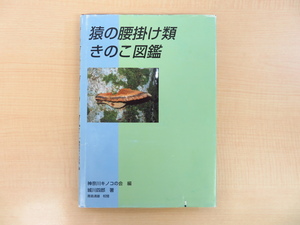 猿の腰掛の値段と価格推移は 102件の売買情報を集計した猿の腰掛の価格や価値の推移データを公開 猿の腰掛の値段と価格推移は 102件の売買情報を集計した猿の腰掛の価格や価値の推移データを公開