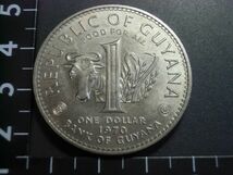 ガイアナ　１９７０年　１ドル硬貨　FAO記念　未　_画像1