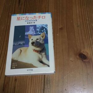 星なったチロポプラ社