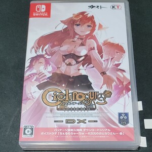 新品未開封 シェルノサージュ ~失われた星へ捧ぐ詩~ DX Nintendo Switch
