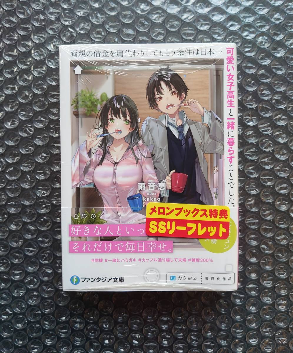 両親の借金を肩代わりしてもらう条件は メロンブックス B2