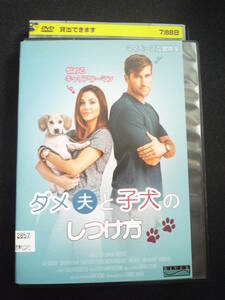 ■□DVD 【ダメ夫と子犬のしつけ方】 レンタル落ち 洋画 ジュリー・ゴンザロ ジョナサン・チェイス 恋愛 ラブロマンス ラブコメディ□■