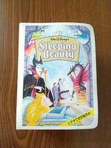 Sleeping Beauty 眠れる森の美女　姫 フィギュア ケース有_画像1