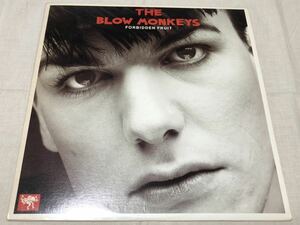 THE BLOW MONKEYS★ブロウモンキーズ★FORBIDDEN FRUIT★my america★wild flower★atomic lullaby★MFLI8527★12インチ★US盤★6曲収録