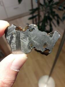  meteorite limitation rare hard-to-find Glo lieta mountain meteorite pala site 