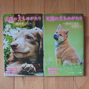 天国の犬ものがたり 小学館ジュニア文庫