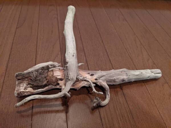 ☆天然流木 水槽 1点物 アクアリウム オブジェ アート 40×29×13cm 大和川河口 爬虫類 インテリア 中型 魚 隠れ家